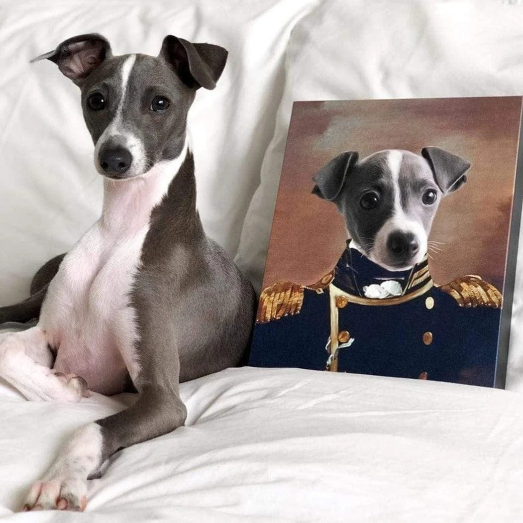 The Admiral