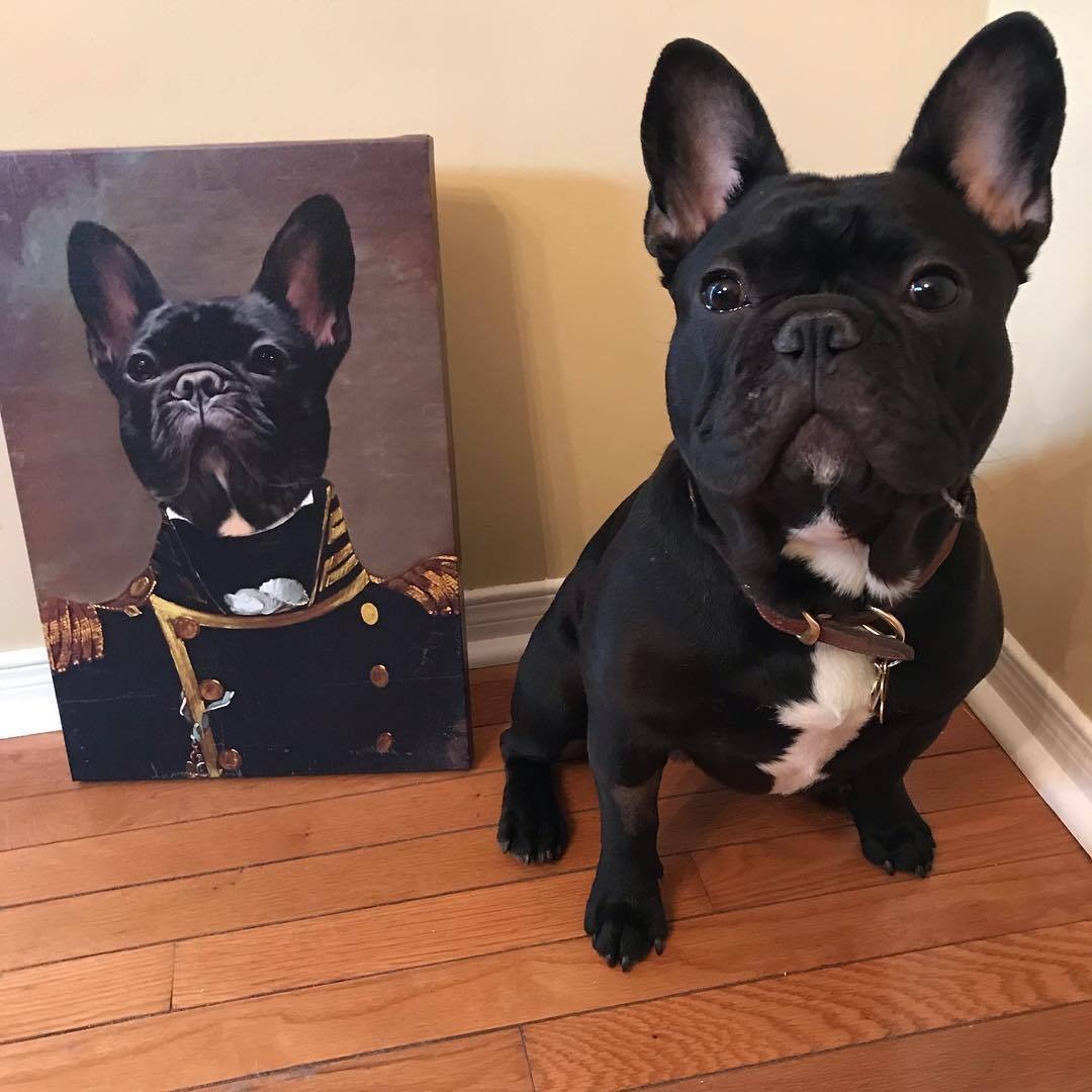 The Admiral