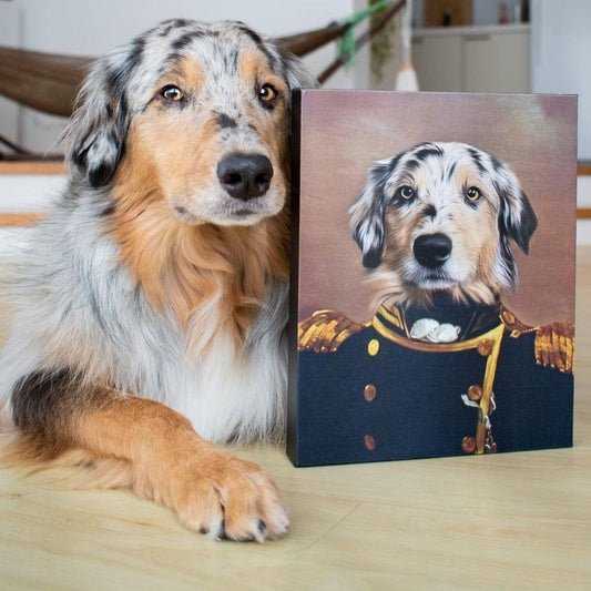 The Admiral