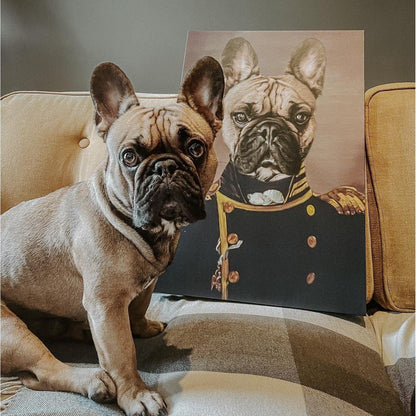The Admiral