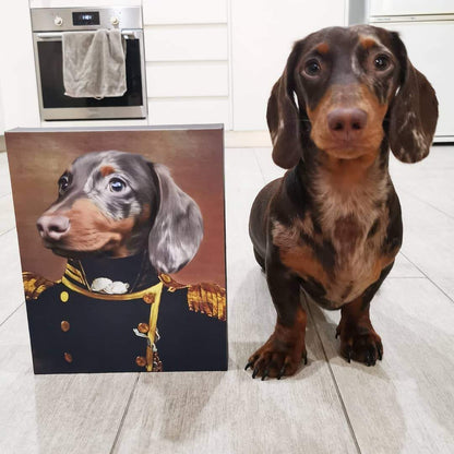 The Admiral