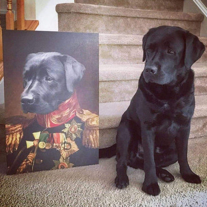 The Veteran
