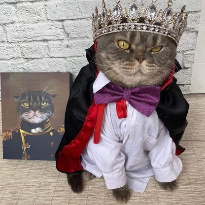The Admiral