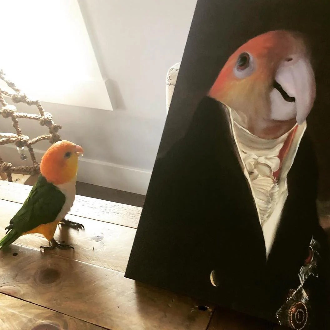The Count