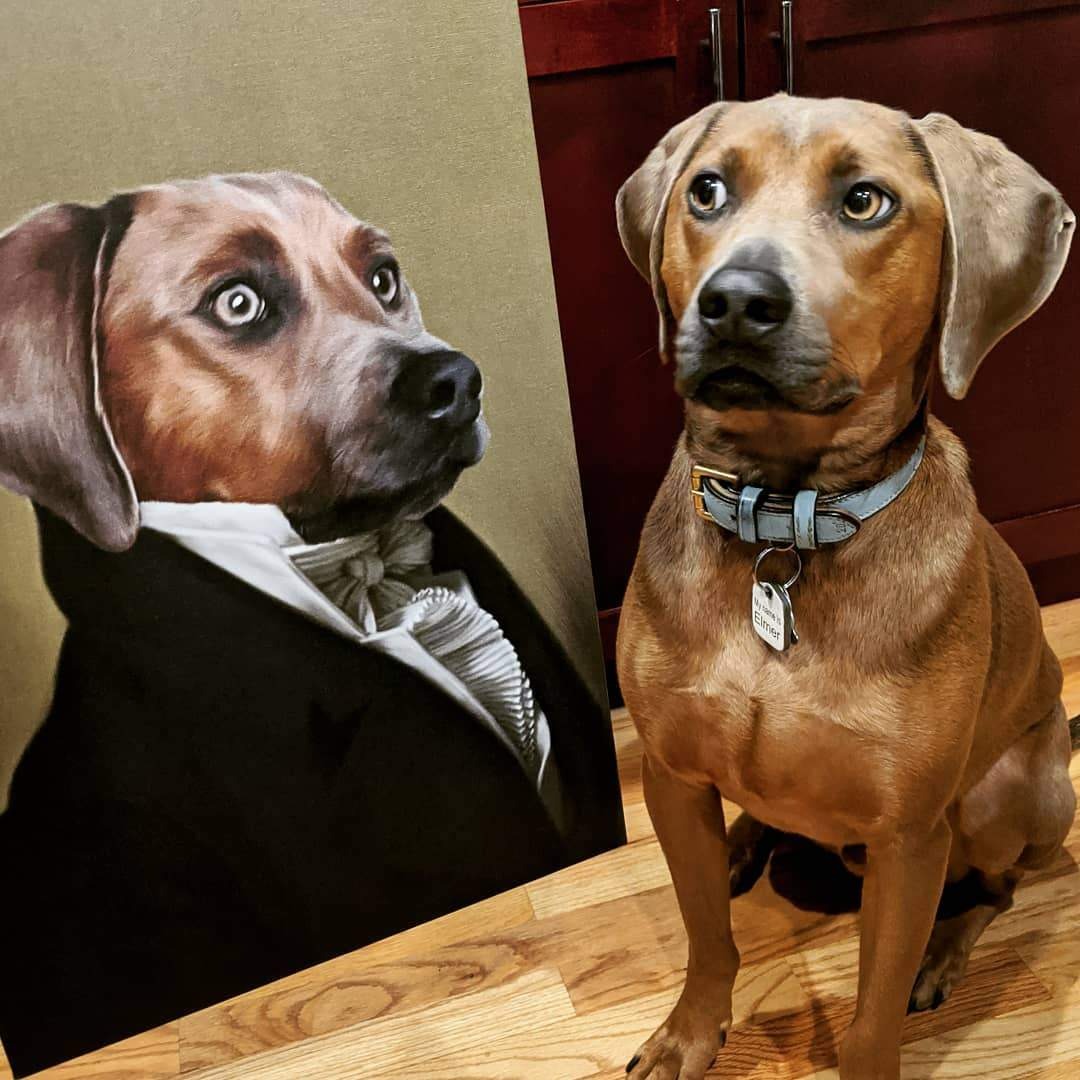 The Ambassador