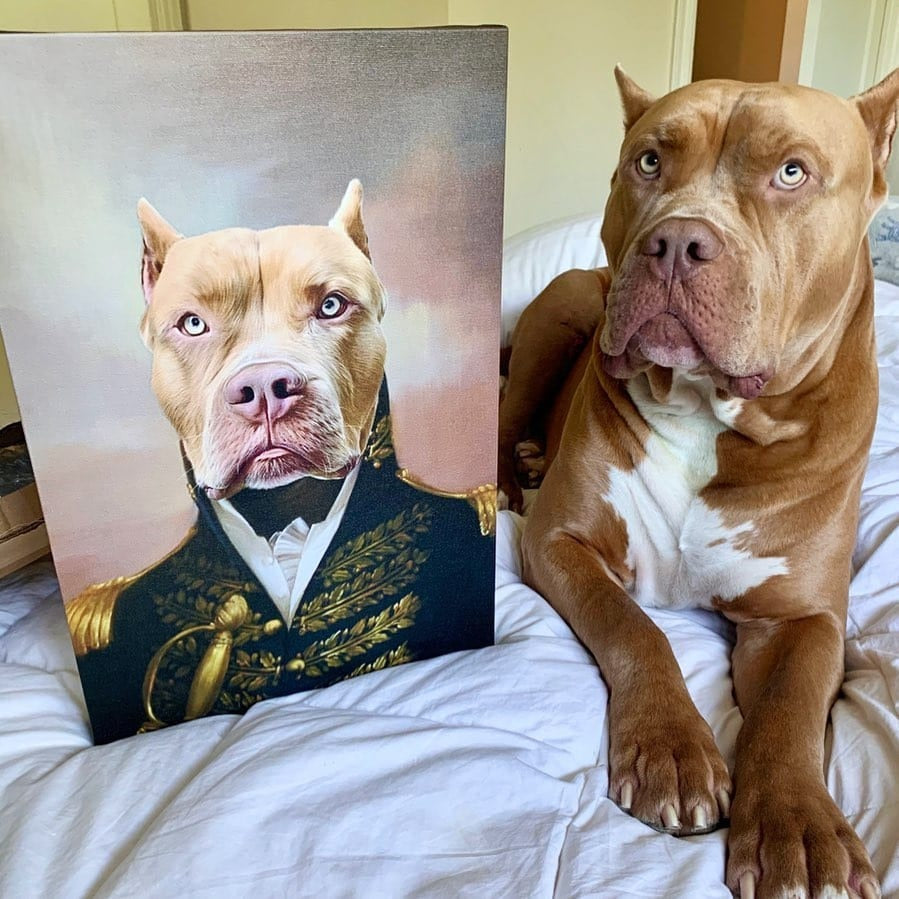 The General