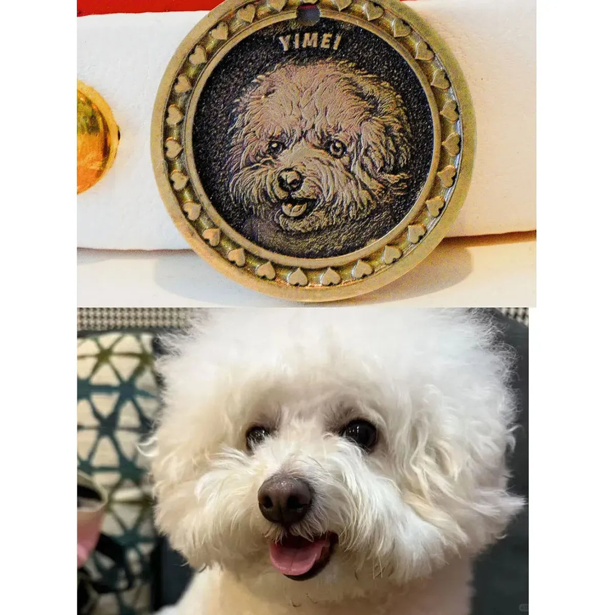 Custom Engraved Pet Coin Pendant — Personalized Pet Portrait Necklace
