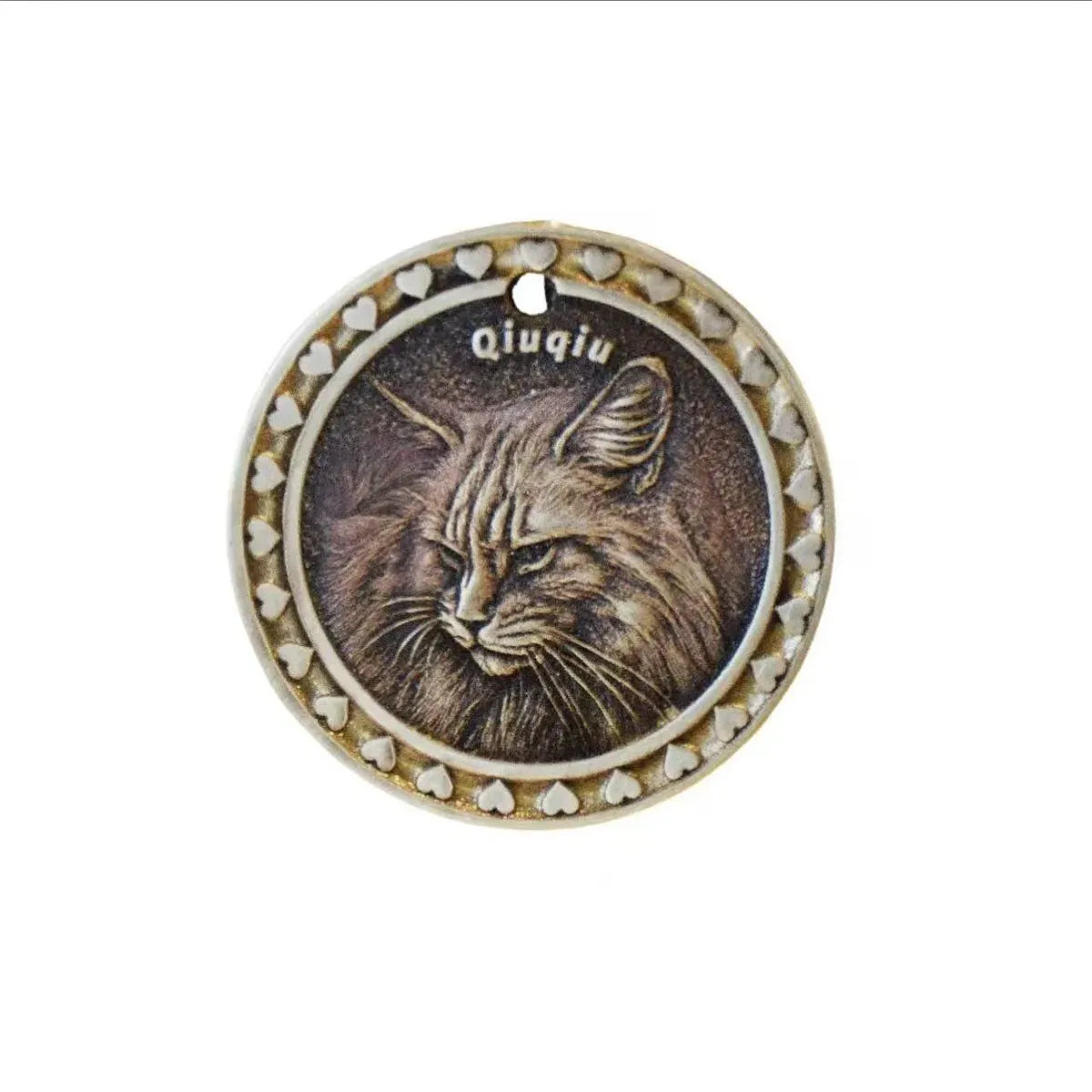 Custom Engraved Pet Coin Pendant — Personalized Pet Portrait Necklace